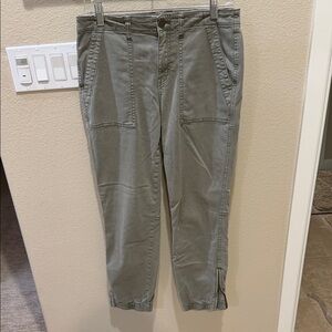 Sanctuary Men's Sage Cargo Pants
